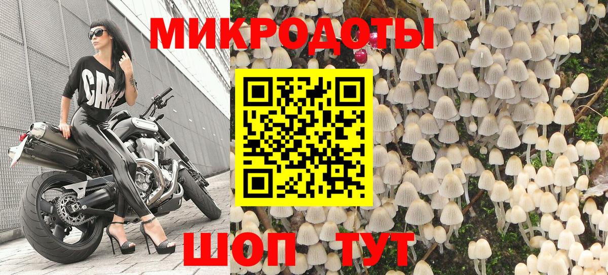 Галлюциногенные грибы Psilocybine cubensis  Вход с VPN  Галлюциногенные грибы мухоморы  Медногорск 